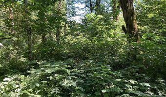 NE 197th Ct, Amboy, WA 98601