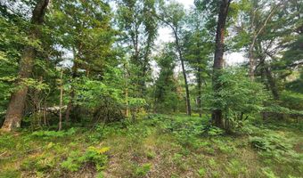 Lot 98 Wilderness, Alger, MI 48610