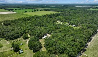 7340 21st Ave, Bell, FL 32619