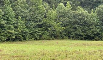100 Acres Highway 34 W, Beech Grove, AR 72412