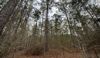 Lot C112 DOCK SIDE Lane, Lincolnton, GA 30817