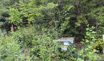 49 Bayside Blvd, Bean Station, TN 37708