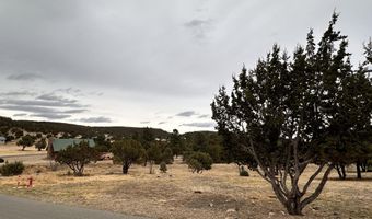 Lot 111 Antler Dr, Alto, NM 88312