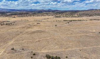 New Mexico 246, Capitan, NM 88316