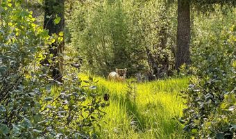 201 Tripod Vw, Cascade, ID 83611