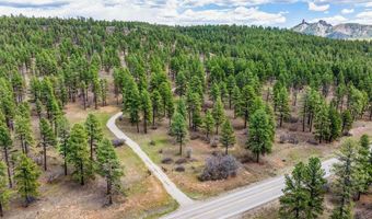 20861 Hwy 160, Bayfield, CO 81122