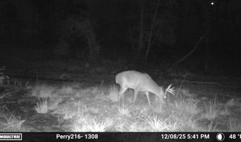 US Hwy 98, Beaumont, MS 39423