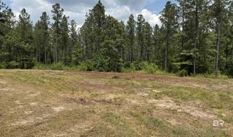 Ronald Sanks Road, Bay Minette, AL 36507