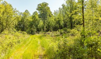 Beech Bluff Road, Beech Bluff, TN 38313