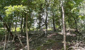 0 S Forest Lk, Alger, MI 48610