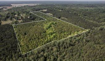 35 8 Ac Pearces Rd, Brooklyn, MS 39425