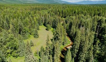 22507 Old Mill Rd, Bigfork, MT 59911