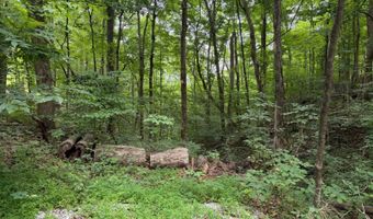 Wolf River Estates Rd, Albany, KY 42602