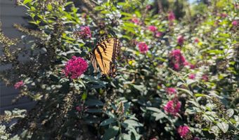 1638 Academy St, Charlotte, NC 28205