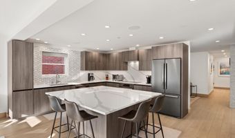 447 E Cooper Ave 1, Aspen, CO 81611