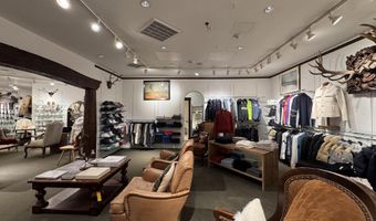 419 E Cooper Ave, Aspen, CO 81611