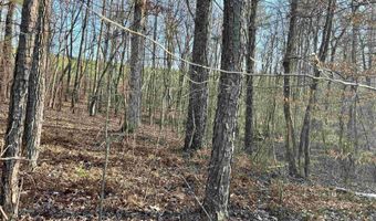 0009 SPRINGHOLLOW Rd Lot 9, Ashville, AL 35953