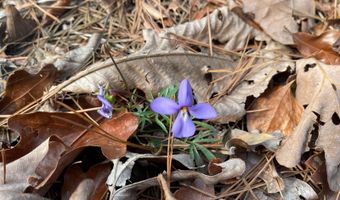 Tract 52 E 1885 Road, Antlers, OK 74523