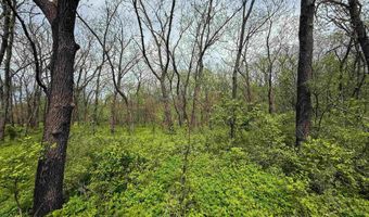 2137 623rd Ave, Albia, IA 52531