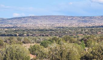 1483 County Road 5270, Concho, AZ 85924