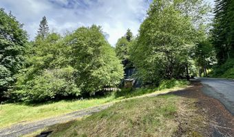 71529 FISHHAWK Rd, Birkenfeld, OR 97016