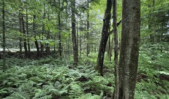 1386 Clif Reynolds Rd, Cambridge, VT 05444