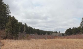 31861 E Highway 160, Bayfield, CO 81122
