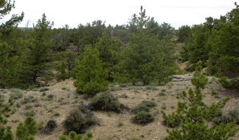 nhn Cottonwood Road, Bridger, MT 59014