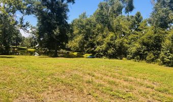 1042 Lake Cadeli Rd, Bartow, GA 30413