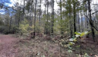 Jim Allred Road, Bankston, AL 35542