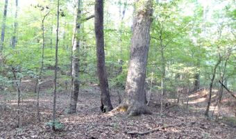 590 247 Country Rd, Bruce, MS 38915