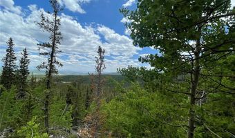 847 COUNTY ROAD 787, Alma, CO 80420