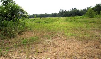 1071 LR 3, Ashdown, AR 71822