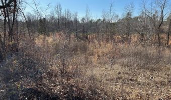 0 County Rd 4130, New Site, MS 38859