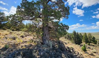 Fox Butte Road 2016000001901, Bend, OR 97701