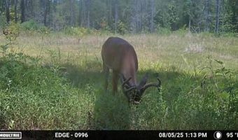 Hwy 9, Bruce, MS 38915