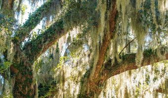 210 Old Plantation Dr W, Beaufort, SC 29907