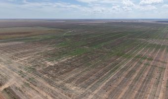 364 14 Acres Pullman Rd, Amarillo, TX 79118