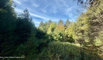 239 Sundale Rd, Accord, NY 12404