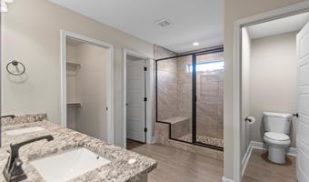 1703 VINE MAPLE, Benton, AR 72019