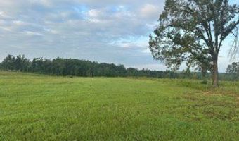 447 CR 215, Abbeville, MS 38601
