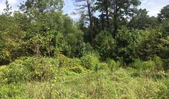 3204 Masseyville Rd, Macon, GA 31217