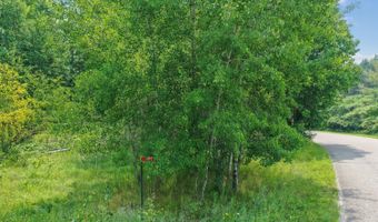 16180 THELEN Rd, Mountain, WI 54149