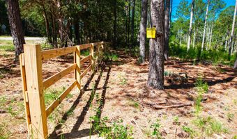 6355 Cobbham Rd, Appling, GA 30802