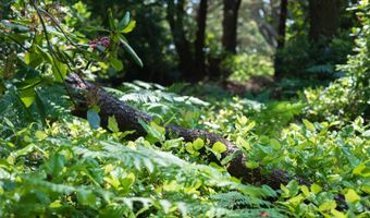 88677 WHITING Ln, Bandon, OR 97411