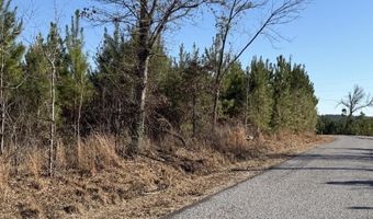 Delancey Road, Braxton, MS 39044