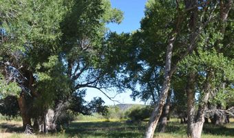 177 Amalia School Rd, Amalia, NM 87512