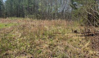 Parsons Road, Ashland, VA 23015