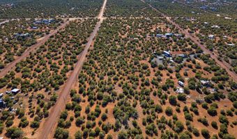 233 Co, Concho, AZ 85924