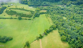 1385 Betsy Ross Rd, Afton, TN 37616
